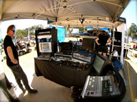 Hervey Bay Whale Festival